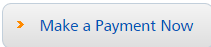 make a payment now
